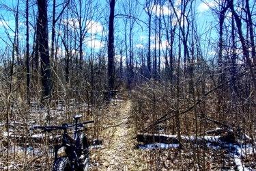 A fat-tire bicycle parked beside a narrow trail in a winter forest setting, with sparse trees, fallen branches, and patches of snow on the ground. The sky is bright blue with fluffy white clouds. Lambton County Heritage Forest mountain bike trail.