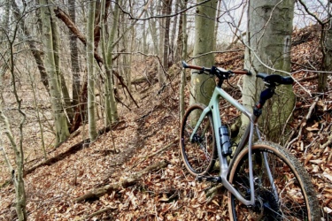 A mountain bike leaning against a tree in a wooded area, surrounded by bare trees and a forest floor covered with brown leaves. The scene captures a serene, outdoor setting, indicative of an early spring or late autumn environment. Rotary Memorial Trail mountain bike trail.
