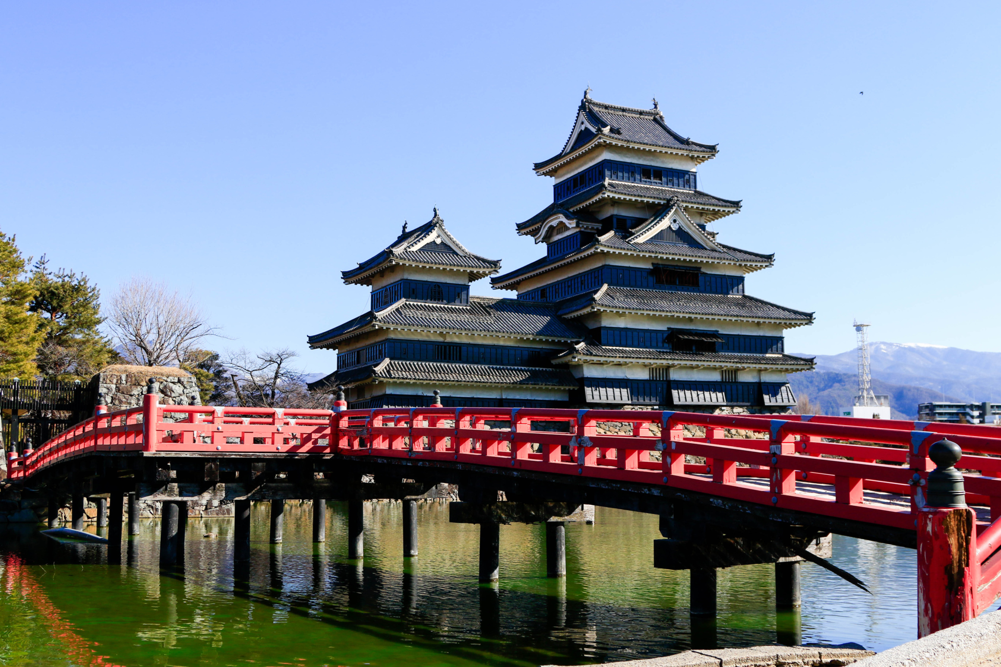 Can Mountain Biking in Japan Reach the Heights of the Country's Ski