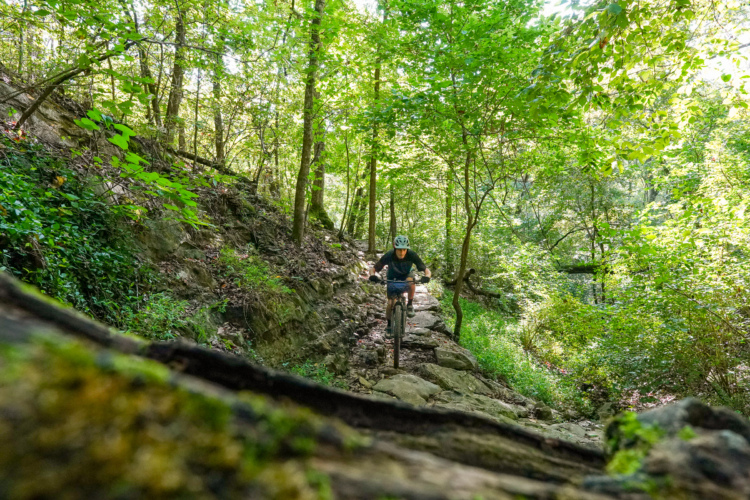 A person riding a mountain bike along a rocky trail in a lush green forest. Sunlight filters through the leaves, highlighting the vibrant greenery of the trees and underbrush.