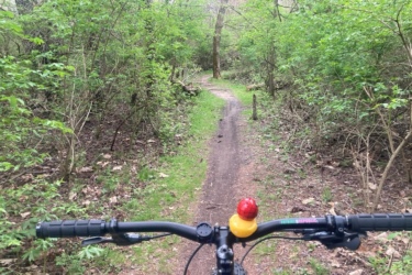 A view from the handlebars of a bicycle on a winding dirt path surrounded by lush green foliage and trees. The path leads into a wooded area, with glimpses of sunlight filtering through the leaves. A brightly colored bike bell, featuring a duck and a red sphere, is visible on the handlebars. Bonneyville Mill mountain bike trail.