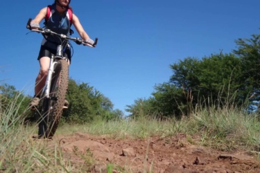 A person riding a mountain bike on a sandy, uneven trail surrounded by grass and trees under a clear blue sky. Hazeldean mountain bike trail.