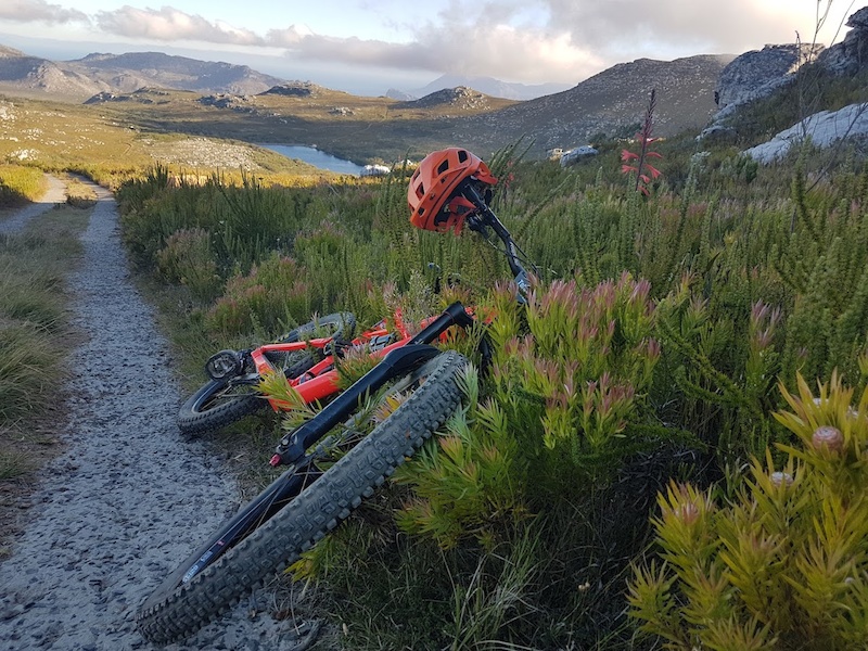 A mountain bike with a bright orange helmet rests on the ground beside a gravel path, surrounded by green foliage and blooming wildflowers. In the background, rolling hills and a lake create a scenic outdoor landscape under a partly cloudy sky. Hilcrest mountain bike trail.