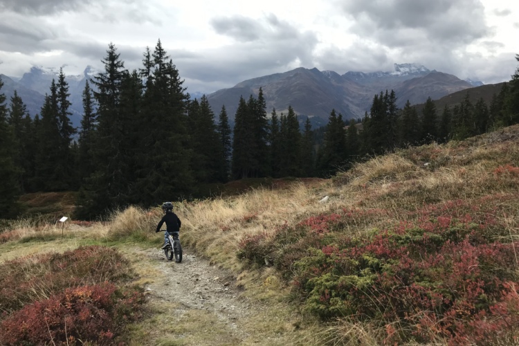 A child riding a bicycle along a gravel path in a mountainous area, surrounded by tall trees and colorful autumn foliage. The backdrop features mountains under a cloudy sky.