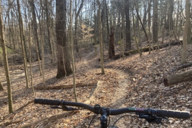 A mountain bike's handlebars in the foreground, with a winding dirt trail leading through a wooded area filled with bare trees and fallen leaves. Sunlight filters through the branches, creating a serene outdoor atmosphere. Bonneyville Mill mountain bike trail.