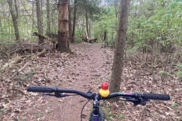 A view of a dirt bike trail through a wooded area, seen from the handlebars of a bicycle. The trail is surrounded by green foliage and fallen leaves, with trees on either side. A small rubber duck bike bell is attached to the handlebars, adding a playful touch to the scene. Bonneyville Mill mountain bike trail.