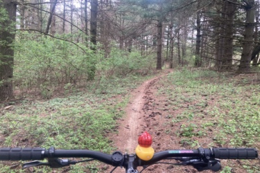 A view from the handlebars of a mountain bike along a winding trail in a forest, surrounded by tall trees and green underbrush. A colorful bike bell shaped like a red and yellow figure is visible on the handlebars. Bonneyville Mill mountain bike trail.