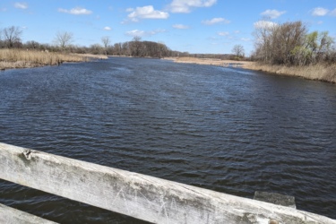 A serene view of a calm body of water, bordered by reeds and trees, under a partly cloudy blue sky. In the foreground, a weathered wooden railing is partially visible, framing the scene. The landscape features gentle ripples on the water's surface, indicating a light breeze. Lake Erie XC Trails mountain bike trail.