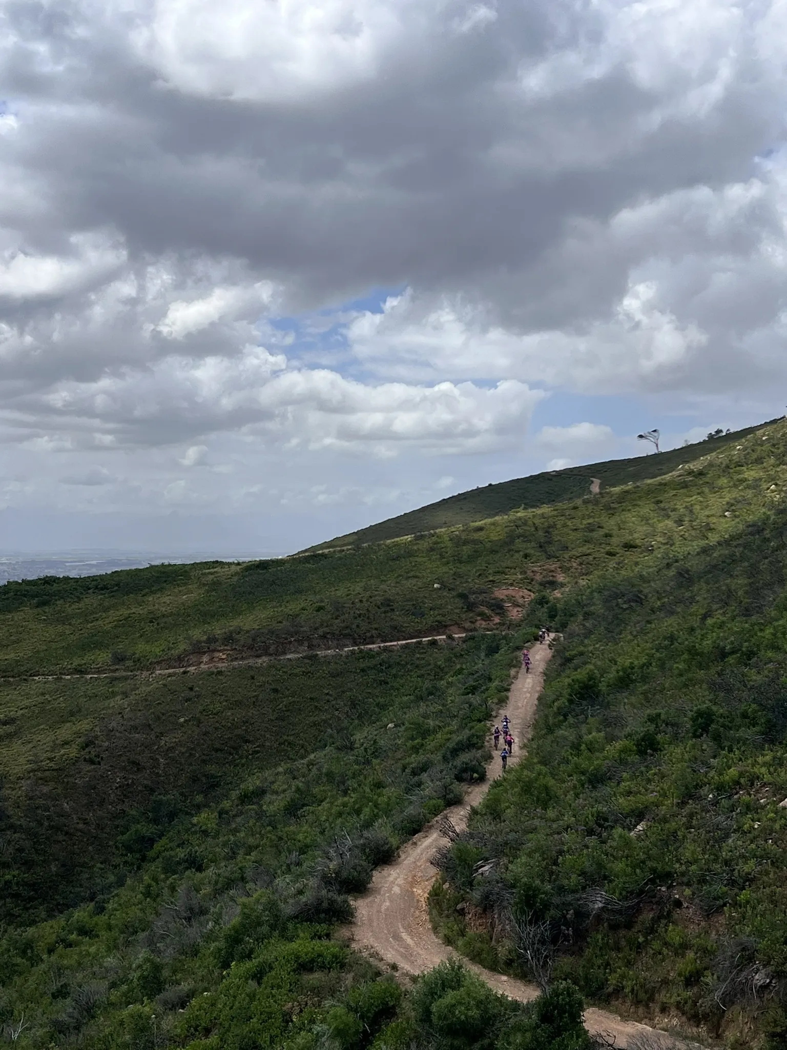 A winding dirt path leads through lush green hills under a cloudy sky, with several hikers visible along the trail, showcasing a serene outdoor landscape. Rhodes Memorial mountain bike trail.