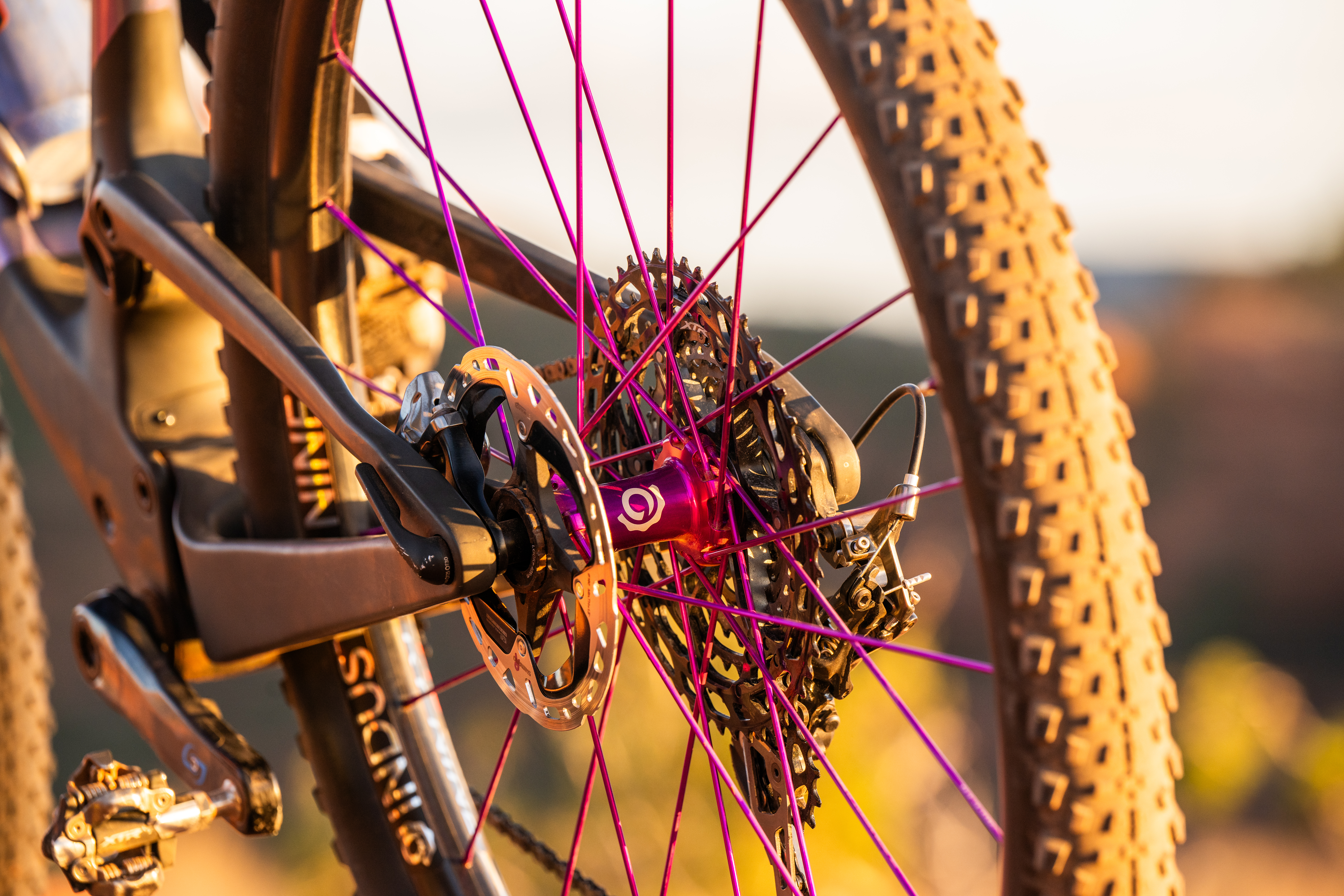 A 600g MTB Tire, a Carbon Chainring, and 240mm Fox Transfer