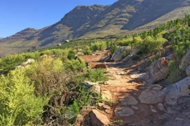 A winding dirt path leads through lush greenery and rocky terrain, with rugged mountains rising in the background under a clear blue sky. Tokai Forest mountain bike trail.