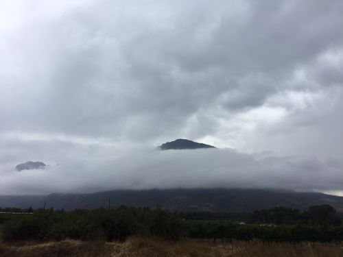 A landscape view featuring mountains partially obscured by thick grey clouds, with a foreground of grassy areas and hints of vineyard rows. The sky is overcast, creating a moody atmosphere. Wolesley 50km Race mountain bike trail.