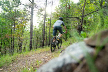 A person riding a mountain bike on a wooded trail, surrounded by tall trees and greenery, with sunlight filtering through the foliage. The focus is on the cyclist as they navigate the path. Lake Ouachita Vista Trail (LOViT) mountain bike trail.