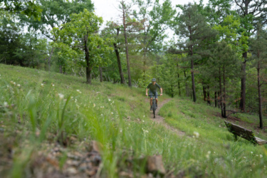 A mountain biker riding along a narrow dirt trail through a green forest. The surrounding area features trees and grassy patches with wildflowers, creating a peaceful outdoor scene. Lake Ouachita Vista Trail (LOViT) mountain bike trail.
