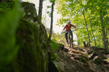 A mountain biker navigating a rocky trail surrounded by lush greenery and sunlight filtering through the trees. The cyclist is wearing a helmet and a long-sleeve shirt, focused on maneuvering down the rugged path. Mount Nebo State Park mountain bike trail.