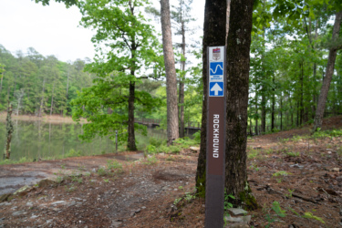 A trail marker labeled "ROCKHOUND" stands next to a tree in a forested area, with a view of a calm body of water and a bridge in the background. The marker features icons indicating the trail's difficulty level as "More Difficult" and includes directional arrows pointing up. The surroundings are lush with greenery, showcasing a natural outdoor setting. Northwoods Trail System mountain bike trail.