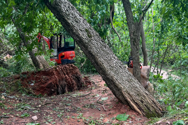 A compact excavator is positioned on a dirt mound in a wooded area, surrounded by green foliage and various trees. One tree leans dramatically to the side, while a chainsaw rests nearby on a rock. The ground is covered with scattered leaves and fallen branches, suggesting recent clearing or landscaping activity.