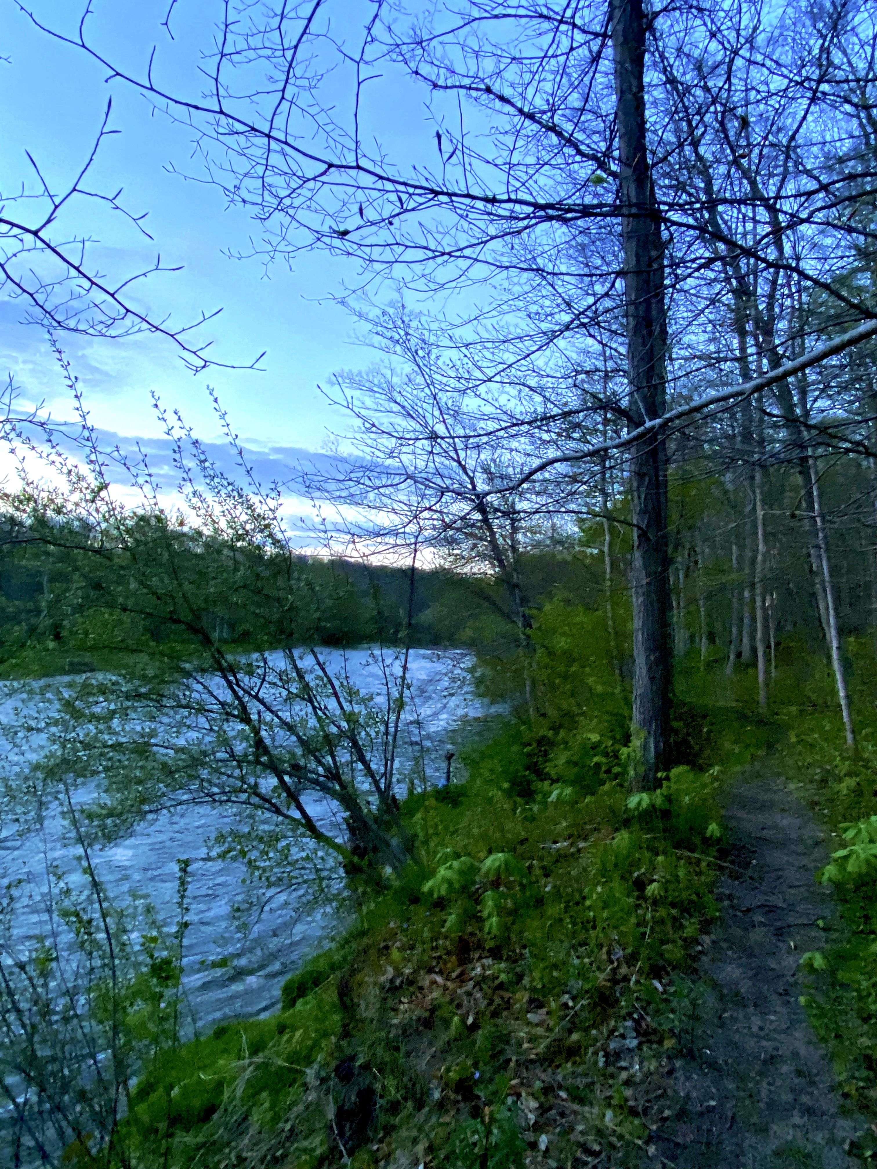 A serene riverside scene during twilight, featuring a winding dirt path bordered by sparse trees and lush greenery. The water reflects the soft blue hues of the sky, while the surroundings are illuminated by fading natural light. Kains mountain bike trail.