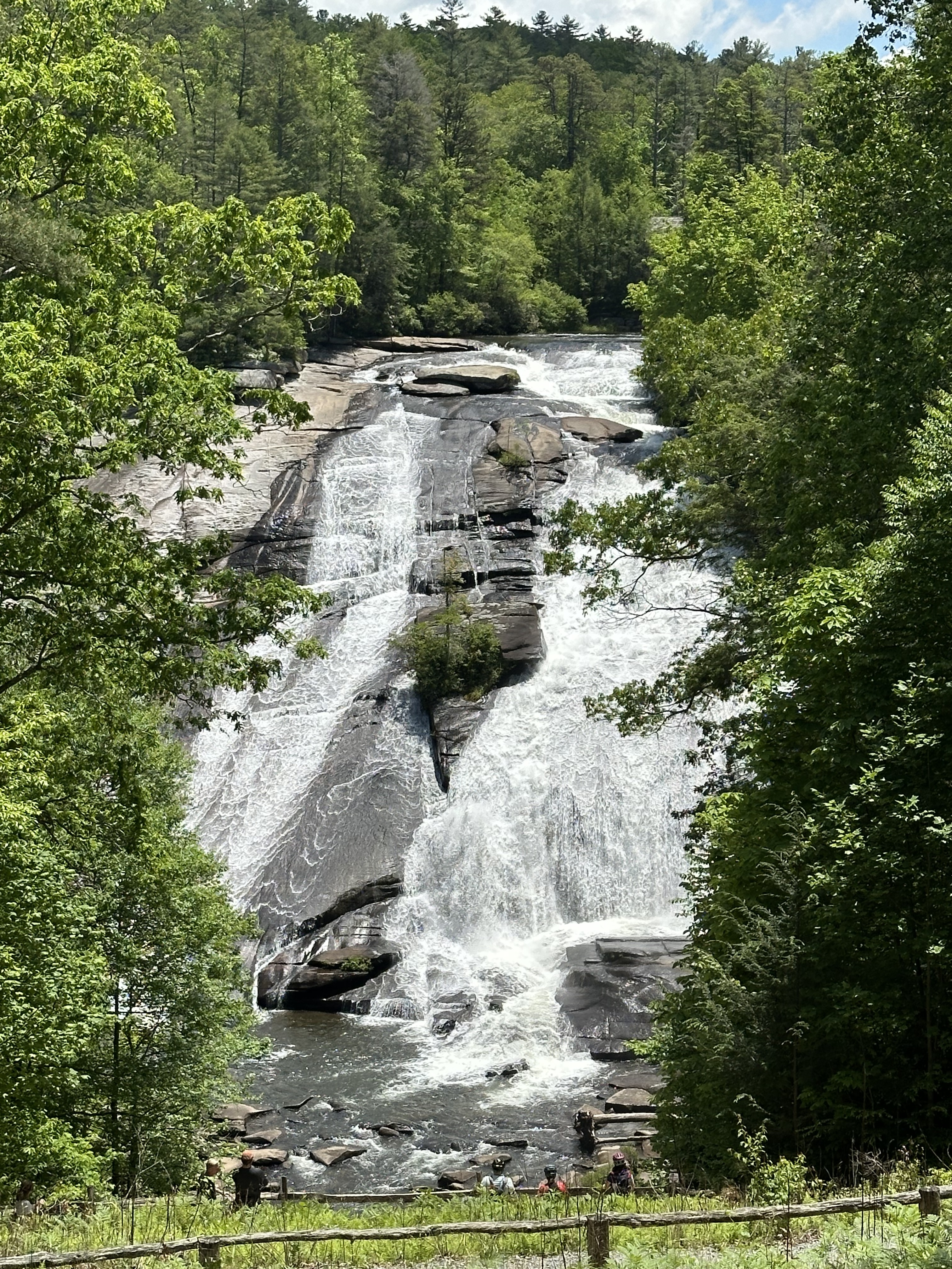 A scenic view of a waterfall cascading over rocky terrain, surrounded by lush greenery and trees. Sunlight filters through the leaves, illuminating the water as it flows into a calm pool below, with a rustic wooden fence in the foreground. Buck Forest Road #8 mountain bike trail.