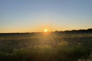 A serene landscape at sunset, featuring a bright sun setting on the horizon. The sky is a gradient of soft blues and warm oranges, while lush green fields and grass are illuminated by the golden light. A fence runs along the background, with trees silhouetted against the fading light. Balm Boyette Scrub Preserve mountain bike trail.