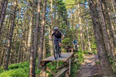 Two mountain bikers navigating a wooden bridge built over a trail in a lush forest. One rider is in the foreground, confidently riding off the bridge, while another cyclist follows behind on the track. The scene is surrounded by tall trees and green ferns, with sunlight filtering through the foliage. Sutton State Forest mountain bike trail.