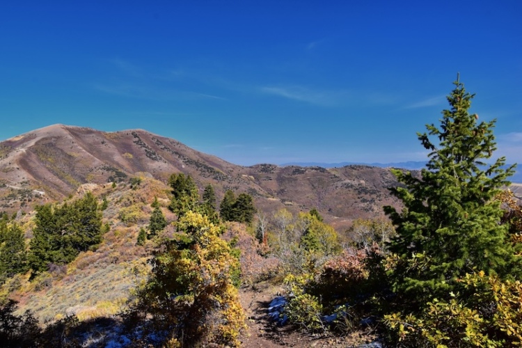 A scenic view of mountains with autumn foliage, featuring foreground trees and a clear blue sky. The landscape showcases rolling hills and varying vegetation, highlighting the beauty of nature during the fall season.