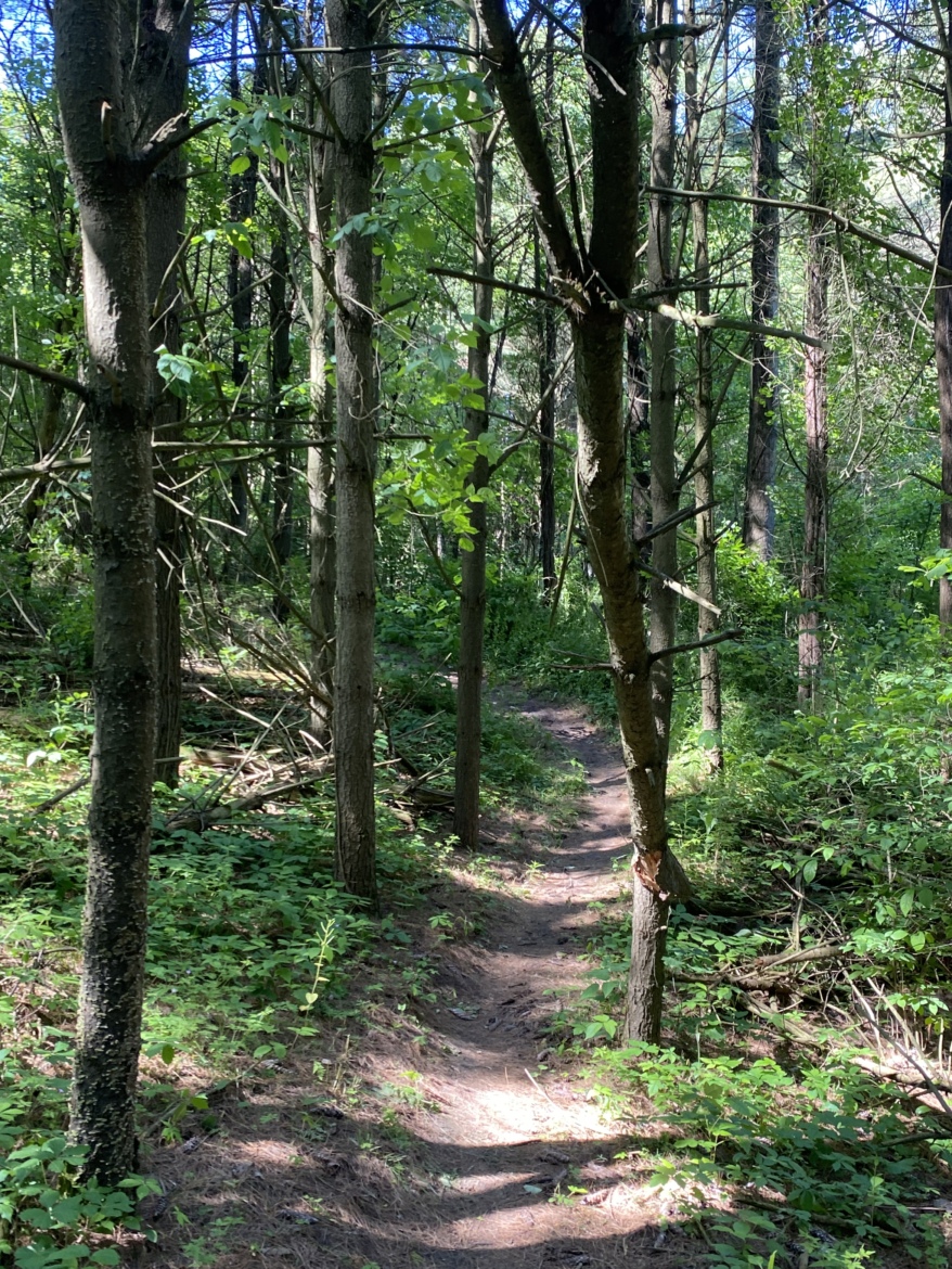 Turkey Point Mtb Turkey Point Provincial Park Mountain Bike Trail in Turkey Point ...
