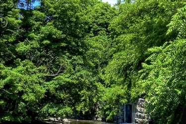 Serene view of a winding stream surrounded by lush green trees and rocky shoreline, with a stone structure partially visible on the right, under a bright blue sky. Etobicoke Creek mountain bike trail.