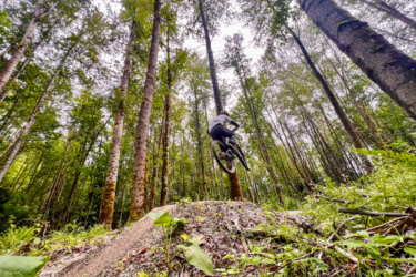 A person riding a mountain bike is airborne above a dirt jump in a dense forest, surrounded by tall trees and greenery. The shot captures the cyclist mid-air, showcasing an action-packed moment in a natural setting. Trek at Tehaleh mountain bike trail.