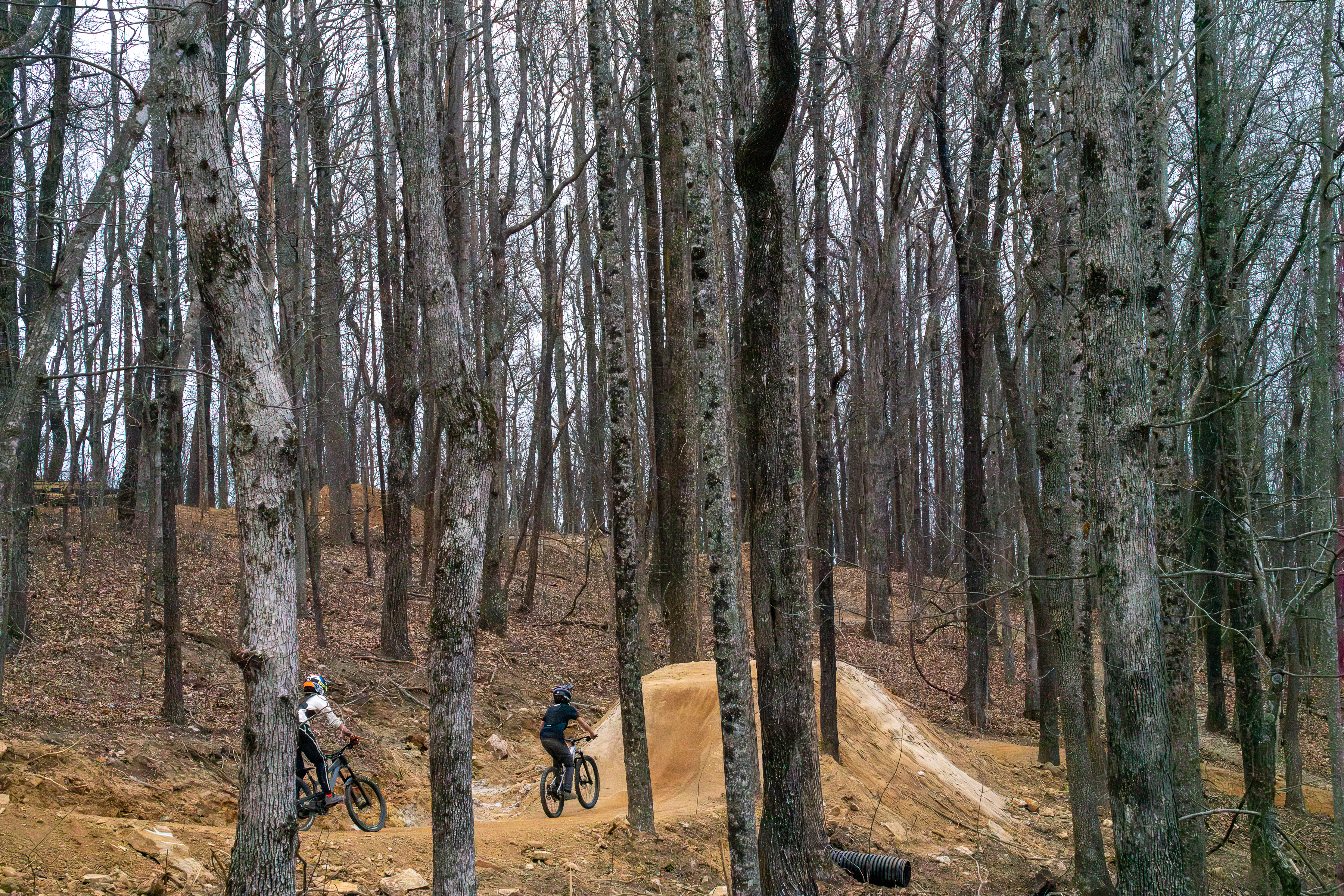 Two mountain bikers ride through a wooded area with sparse trees and leafless branches, navigating a dirt jump ramp in the background. The scene is set in a natural environment, with earthy tones and a trail marked by the presence of bike tracks. Ride Rock Creek mountain bike trail.