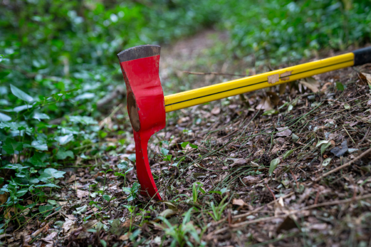 A close-up view of a red axe with a yellow handle resting on the ground covered in leaves and green foliage, set against a blurred forest background.