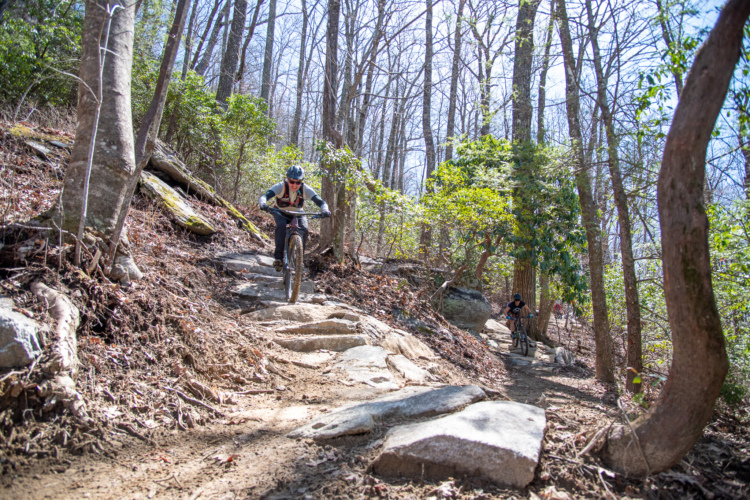 Mountain bikers navigating a rocky trail in a wooded area on a sunny day, with bare trees and green shrubbery in the background.
