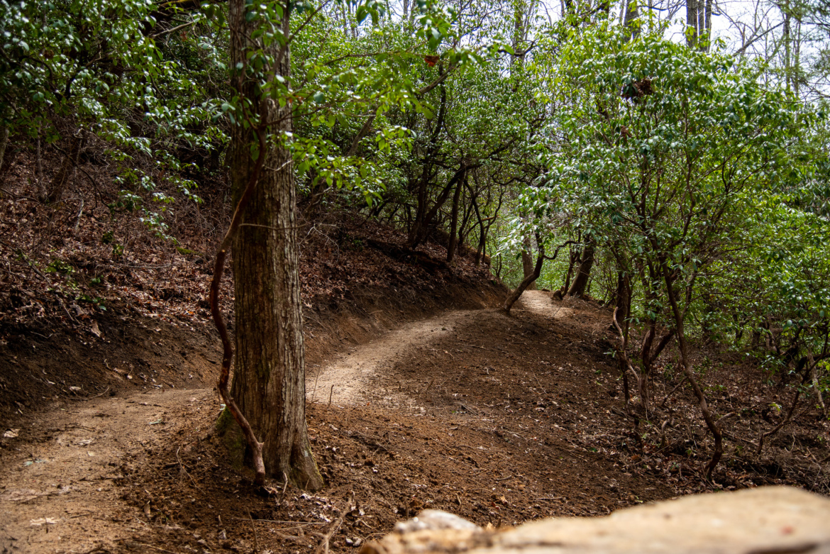 A winding dirt path through a lush green forest, lined with trees and dense foliage, with some leaves scattered on the ground. The trail curves gently out of sight, inviting exploration in a tranquil outdoor setting.