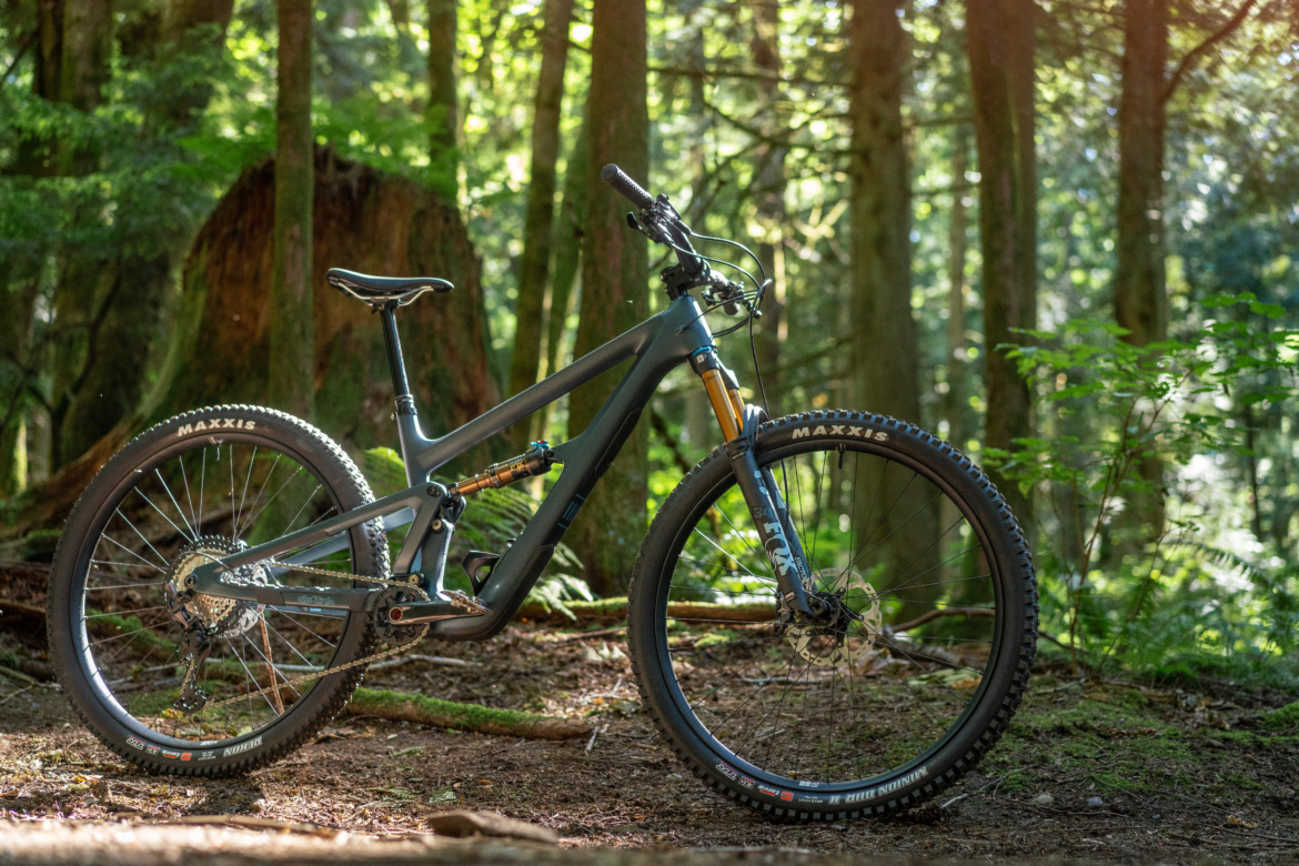 A gray mountain bike parked on forest floor, surrounded by lush greenery and tall trees, with sunlight filtering through the leaves.