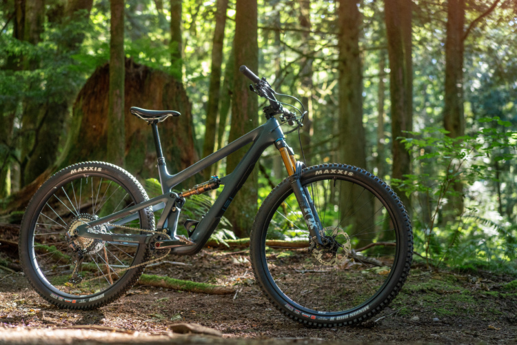 A gray mountain bike parked on forest floor, surrounded by lush greenery and tall trees, with sunlight filtering through the leaves.