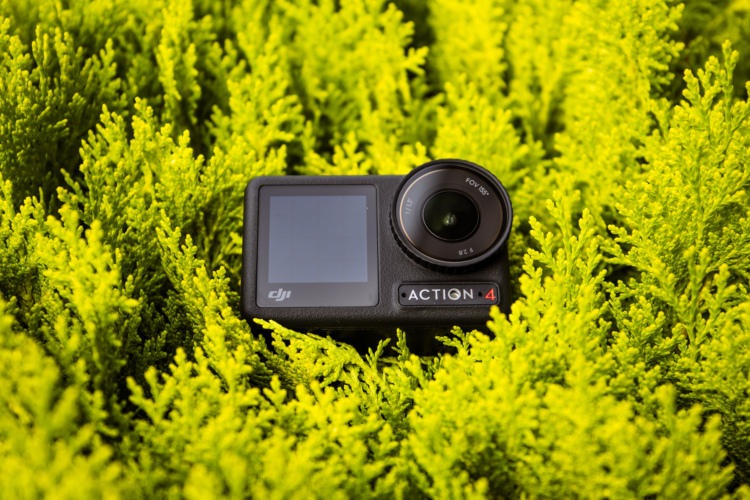 A DJI Action 4 camera resting on vibrant yellow-green foliage, showcasing its sleek design and lens.