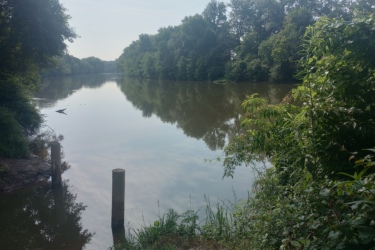 A serene view of a river surrounded by lush greenery, with calm water reflecting the trees on the banks. In the foreground, two cylindrical posts emerge from the water, while the shaded area along the shore features a mix of grass and leafy plants. The scene conveys a tranquil and natural setting on a clear day. Moore's Bridge mountain bike trail.