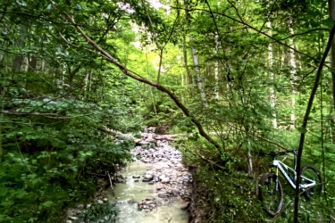 A serene forest scene featuring a narrow, gently flowing creek lined with smooth stones. Lush green foliage surrounds the creek, with sunlight filtering through the trees above. A white mountain bike is parked nearby on the muddy bank, highlighting the outdoor recreation atmosphere. Inverse of kains mountain bike trail.
