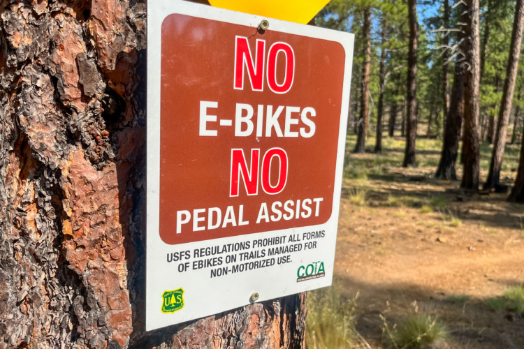 A warning sign attached to a tree in a forest, stating "NO E-BIKES NO PEDAL ASSIST," with additional text about USFS regulations prohibiting e-bikes on non-motorized trails. The background features tall trees and natural foliage, indicating an outdoor recreational area.