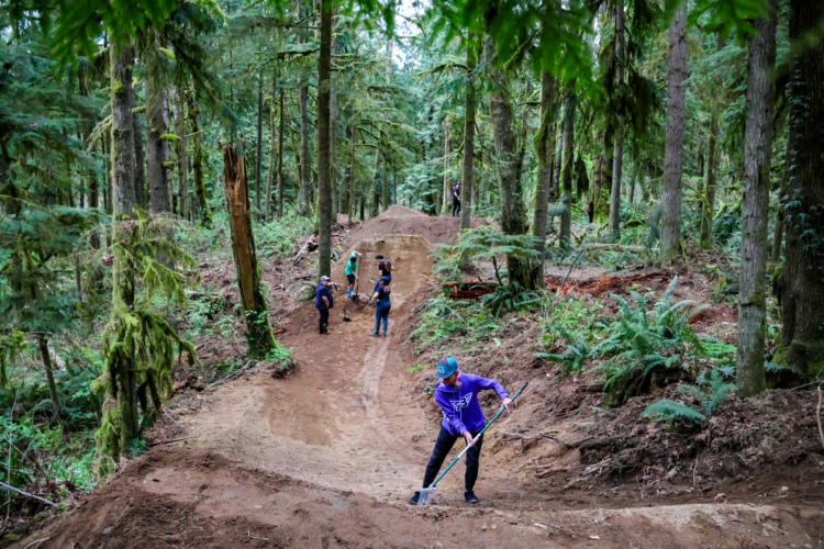 A group of people working together in a forested area, shaping dirt trails and ramps. Lush green trees and ferns surround them, creating a natural backdrop. One person in a purple shirt is actively using a shovel, while others are engaged in various tasks in the background.