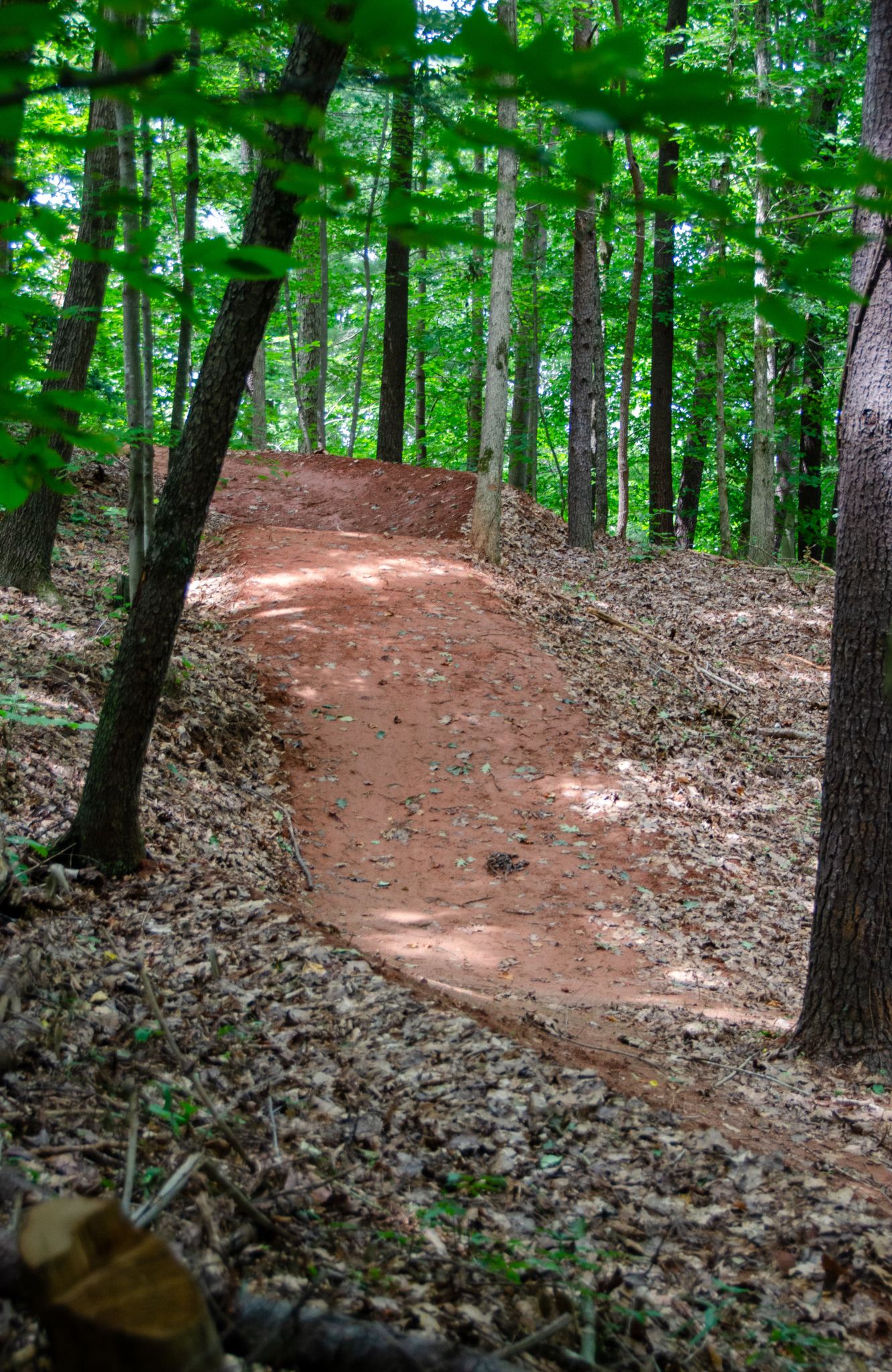 Single Track Riding Singletrack riding from the front door: 5.5 miles of MTB trail are ...