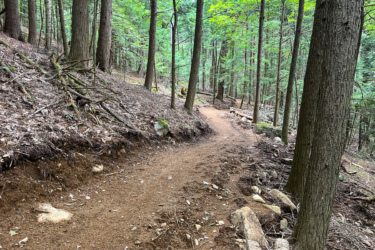 A winding dirt trail through a lush forest, flanked by tall trees and scattered rocks. The path is slightly uneven, with patches of loose soil and fallen branches on the sides, inviting outdoor exploration. Blueberry Hill mountain bike trail.