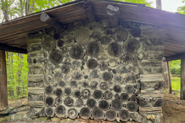 A rustic wooden structure with a wall built from neatly stacked circular logs, surrounded by lush greenery and trees. The roof is made of wooden planks, and natural light filters through the trees, illuminating the scene. Blueberry Hill mountain bike trail.