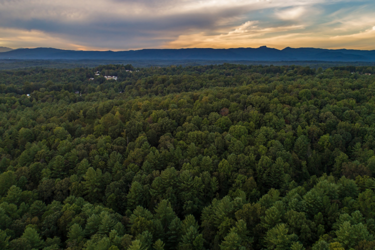 Aerial view of a dense, green forest at sunset, with rolling hills in the background and a few distant homes partially visible among the trees. The sky features soft clouds illuminated by warm tones from the setting sun.