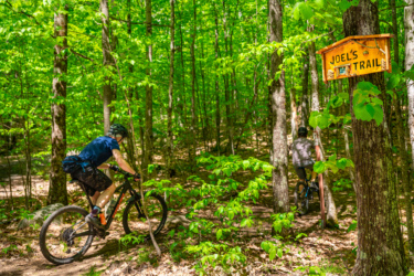 Two mountain bikers navigate a wooded trail surrounded by lush green foliage. A wooden sign labeled "Joel's Trail" is visible on a tree, indicating the path they are following. The sunlight filters through the leaves, creating a vibrant and inviting outdoor scene. Blueberry Hill mountain bike trail.