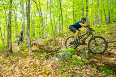 Two mountain bikers navigate a dirt trail through a vibrant green forest. One rider is taking a sharp turn while the other maneuvers over rocks, both showcasing their skills on mountain bikes. Sunlight filters through the trees, illuminating the lush foliage and the earthy trail below. Blueberry Hill mountain bike trail.