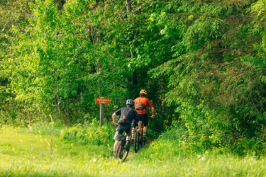 Two mountain bikers riding on a forest trail surrounded by lush greenery, with a signpost indicating the "Cinderella Story" trail. The scene is bright and vibrant, showcasing the natural beauty of the area. Lussi & Loggers mountain bike trail.
