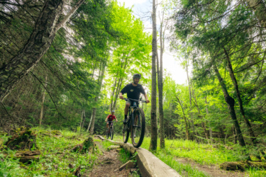 Two mountain bikers riding on a wooden plank path through a lush, green forest. Sunlight filters through the trees, illuminating the scene as they navigate the trail. Lussi & Loggers mountain bike trail.