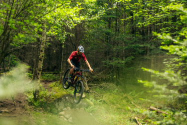 A mountain biker performing a jump over a rock on a forest trail, surrounded by lush greenery and trees. Lussi & Loggers mountain bike trail.