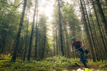 Two mountain bikers riding through a lush, green forest, surrounded by tall trees. Sunlight filters through the canopy, illuminating the path as they navigate the terrain. One biker is in the foreground, smiling and focused, while the second biker trails behind. The scene captures the essence of outdoor adventure and the beauty of nature. Lussi & Loggers mountain bike trail.